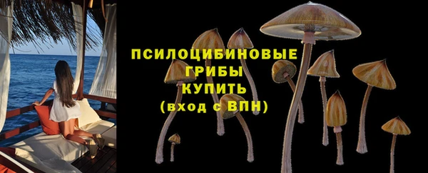 таблы Гусев