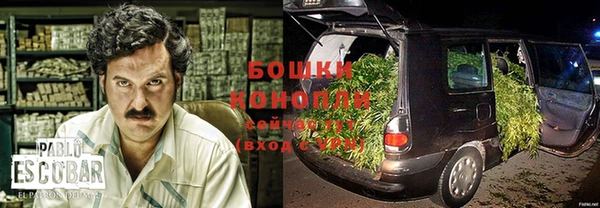 таблы Гусев